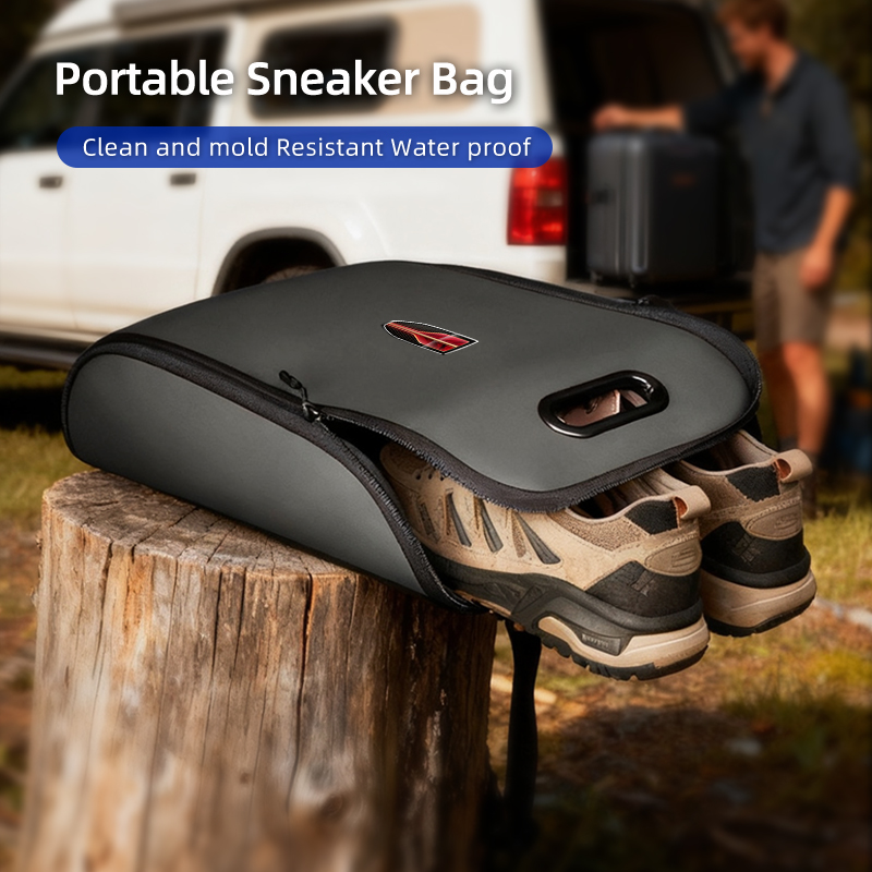 Car Sneaker Bag Shoes Case Gym - Sneaker Care Shoe Box 评论和价格