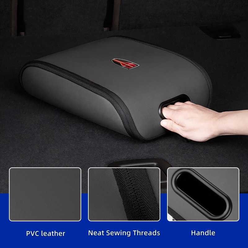Car Sneaker Bag Shoes Case Gym - Sneaker Care Shoe Box 评论和价格